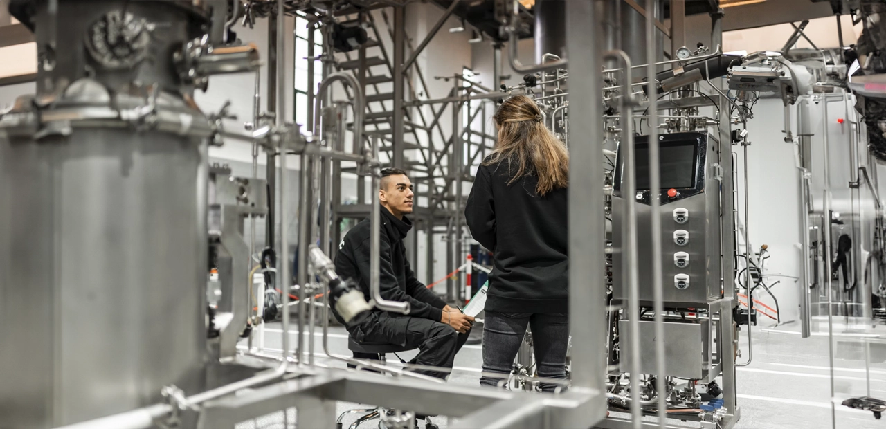 Good Labor Jobs Here to Serve